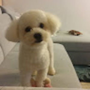 Meet your Posher, Casie